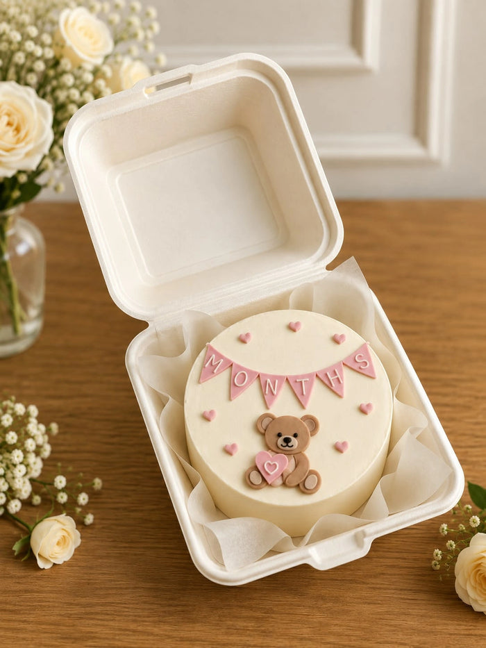 Teddy Bear Baby Milestone Bento Cake